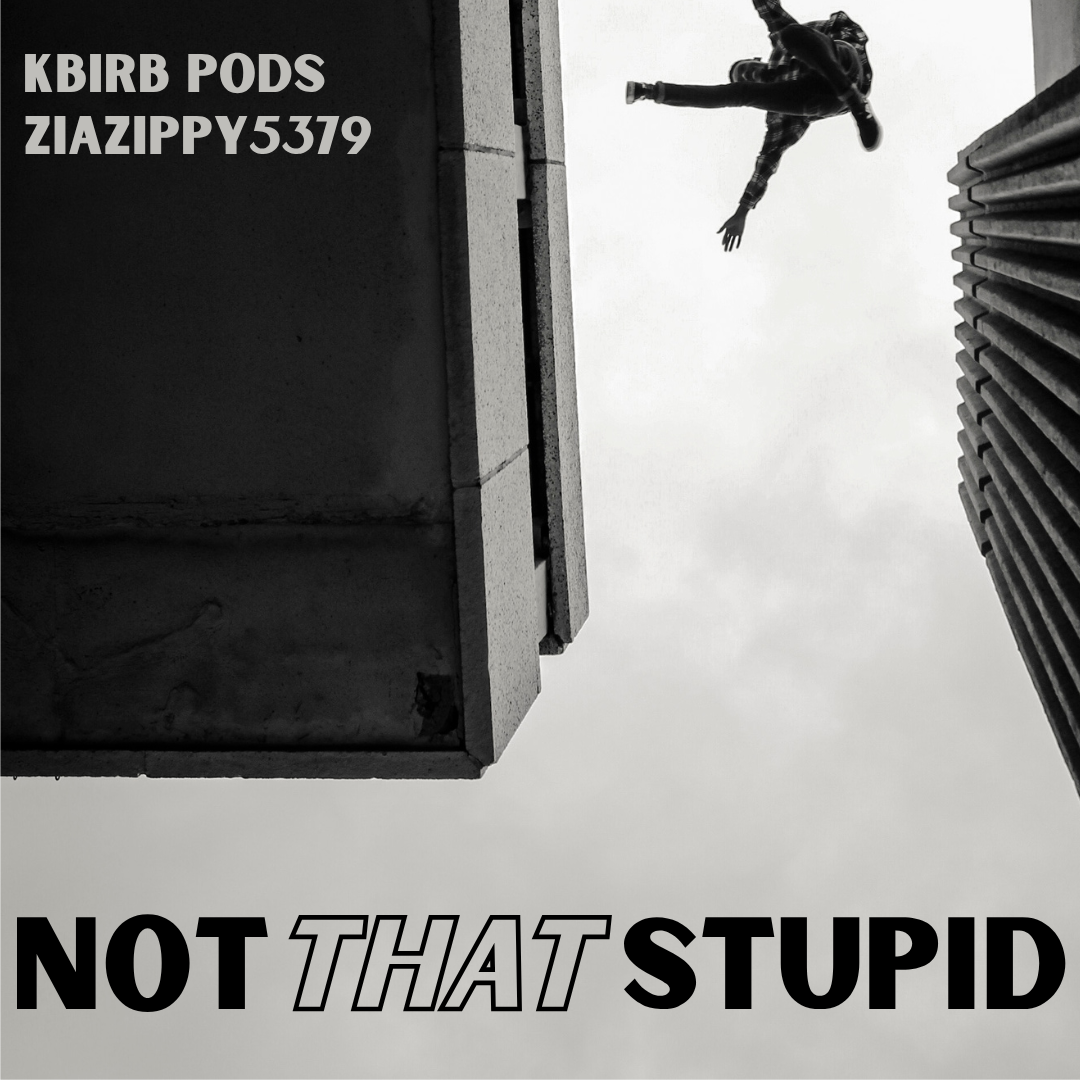 not-that-stupid-cover.png