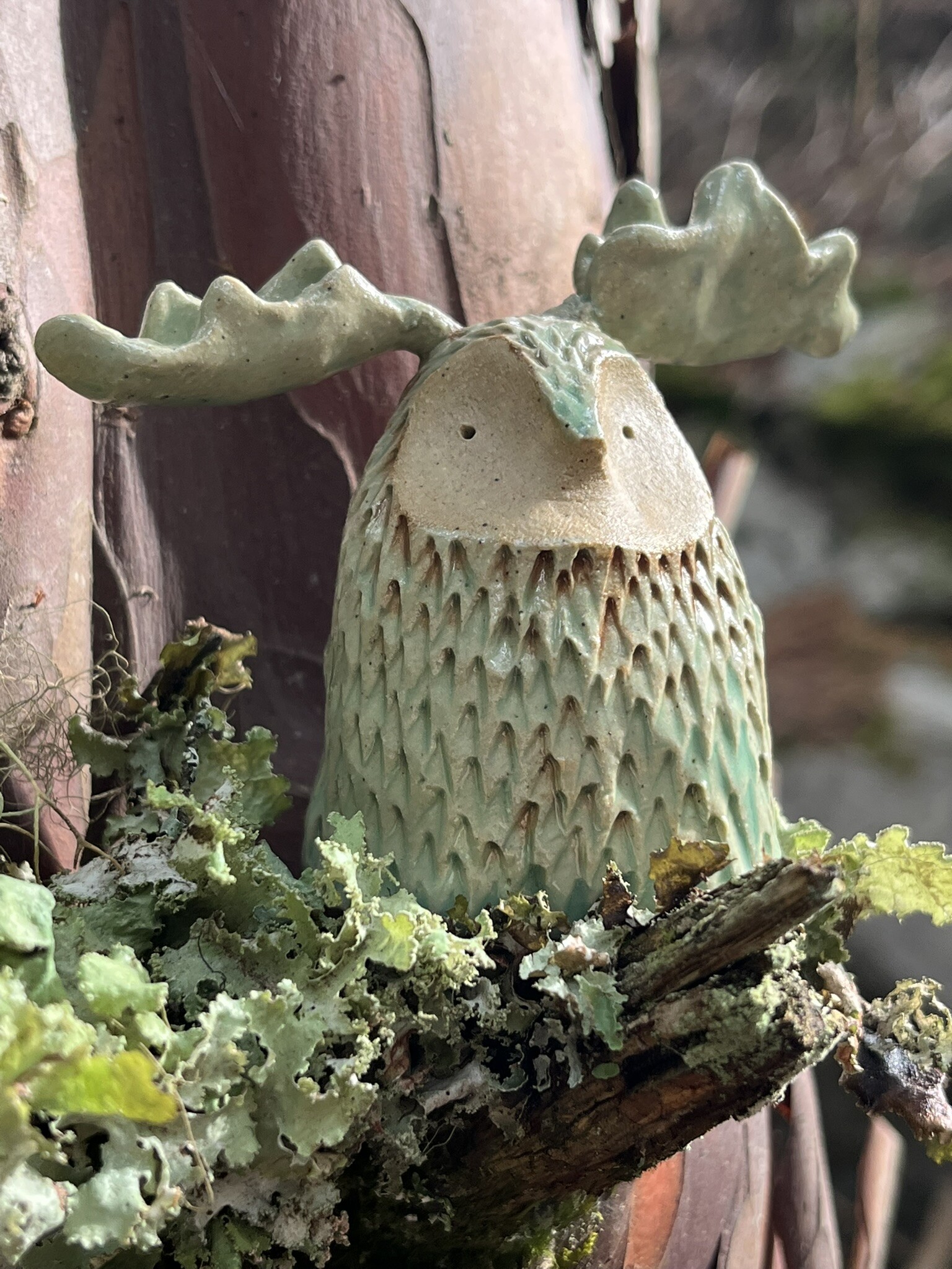 An image of a small ceramic creature with antlers in a forest, sat on the branch of a yew tree. It's nestled in some lichen that matches its blue-green colour.