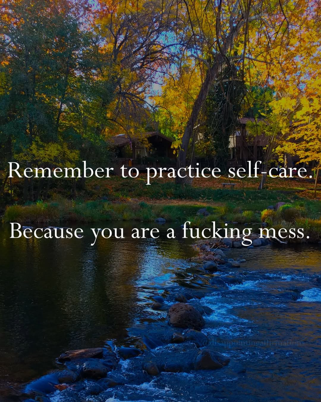 Image of a forest with a stream running through it and the words "Practice daily self-care. Because you are a fucking mess" written over it.