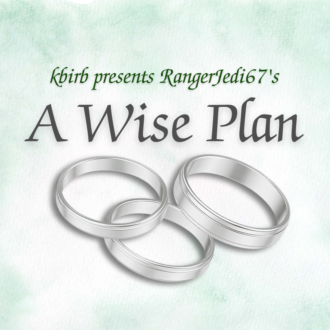 A-Wise-Plan-cover.png