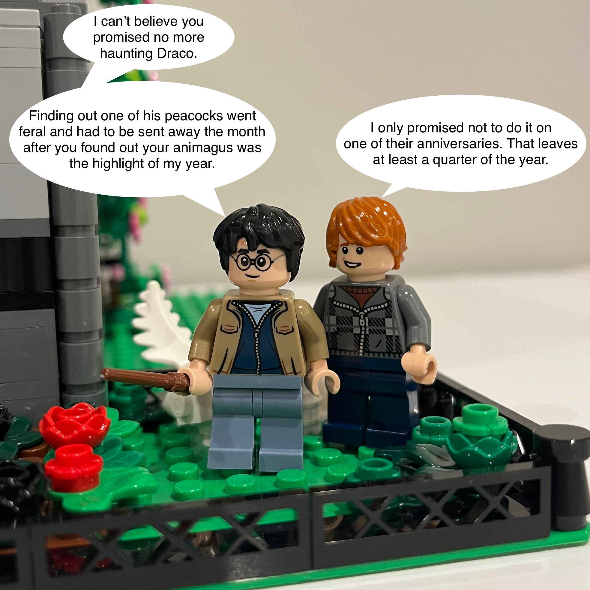 IMG_9237.jpeg