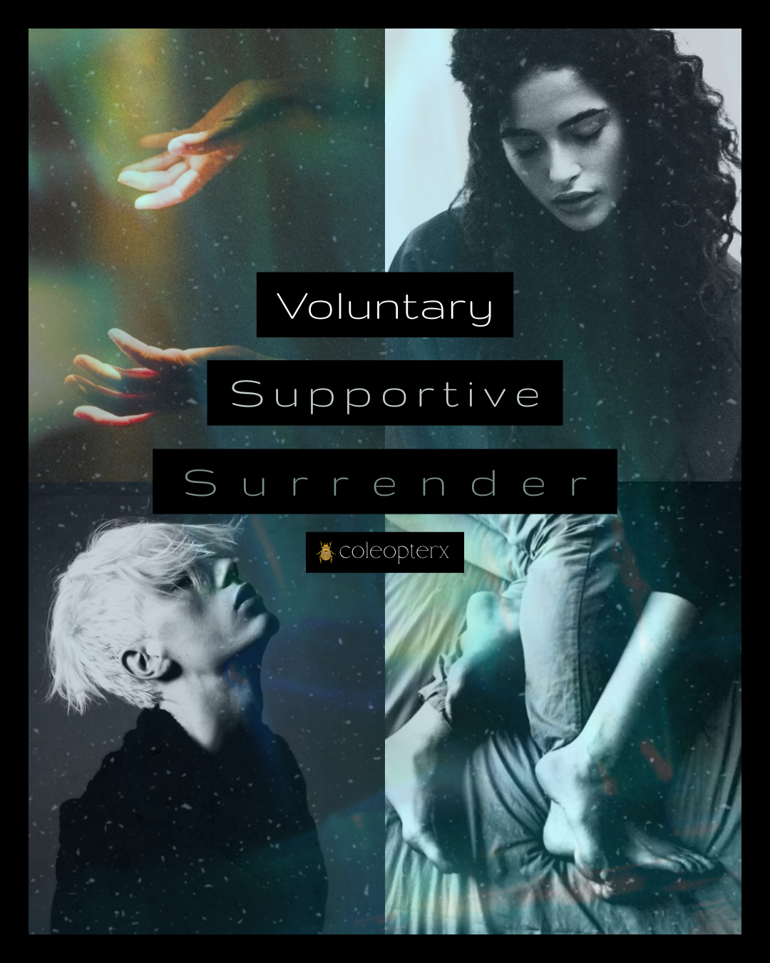 Cover Voluntary Supportive Surrender