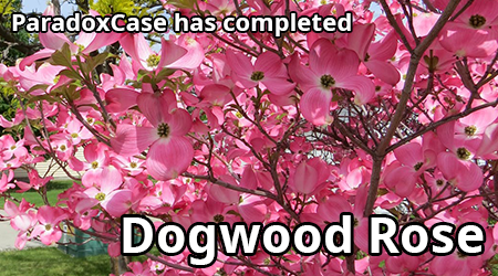 paradoxcase-dogwood-rose.png