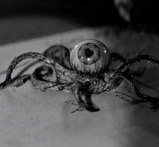 Creepy eyeball with tentacles and multiple pupils skittering away.