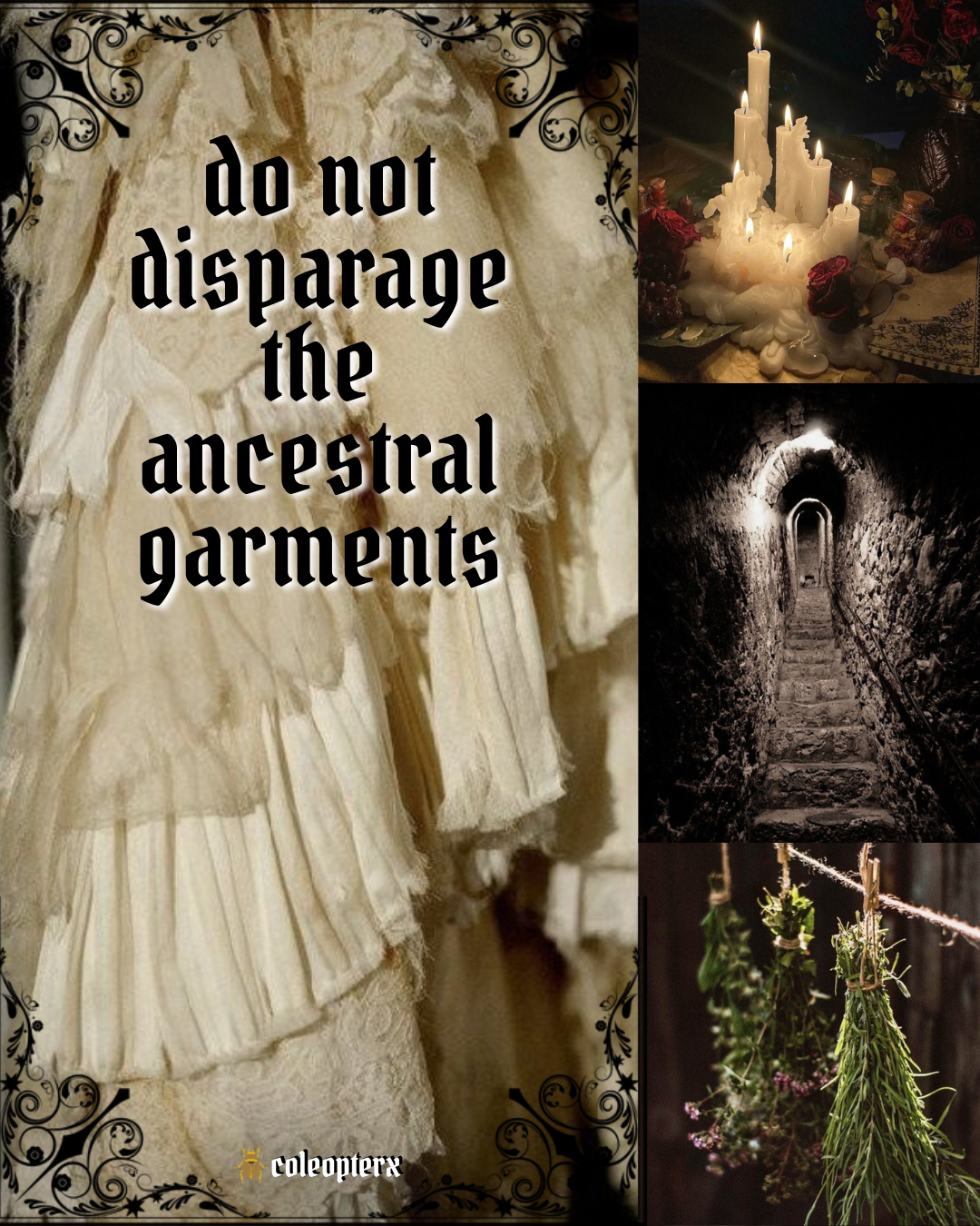 Cover Art Do Not Disparage the Ancestral Garments