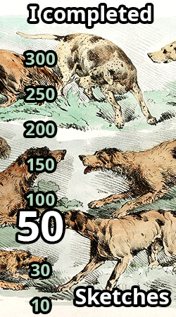 sketches50.png