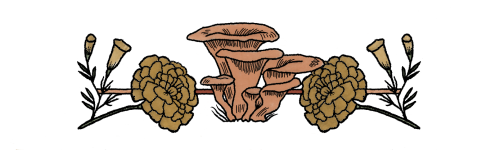 Duties__Dreams_Divider_2.png