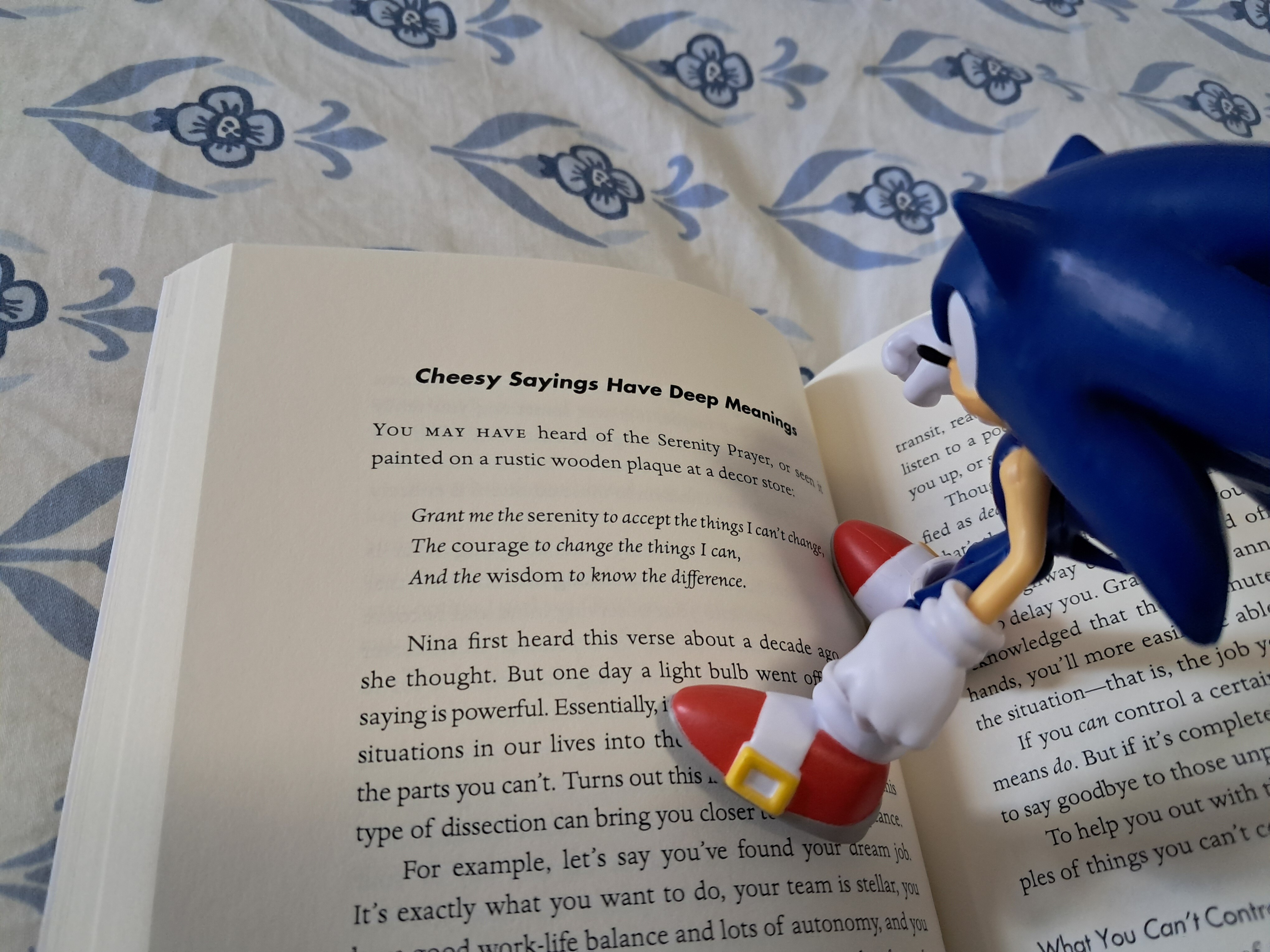 Photo of my open self-help book. The heading at the top of the page is, Cheesy Sayings have deep meanings. I have my Sonic figure posed between the pages as though he is reading it.