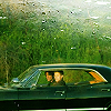impala green
