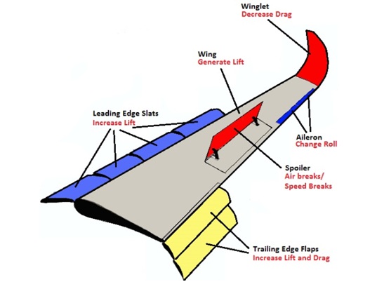 Wing Structure
