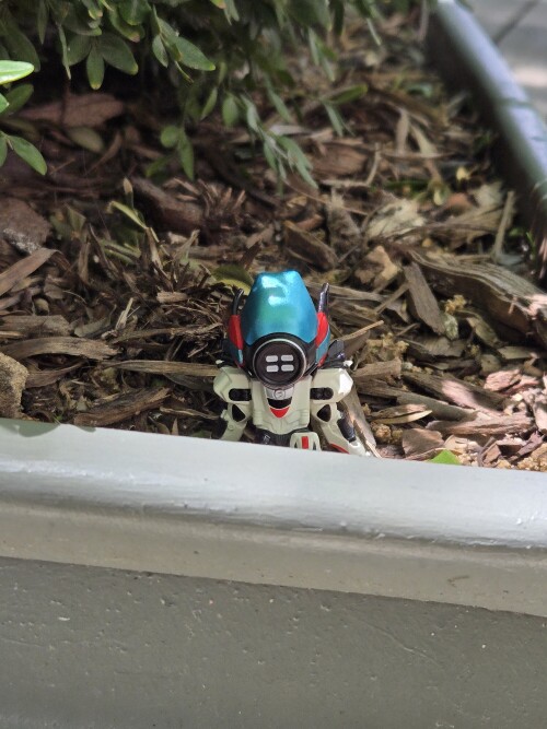 Zero machiboke figure in a planter.