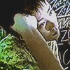 faye wong in chungking express 1994