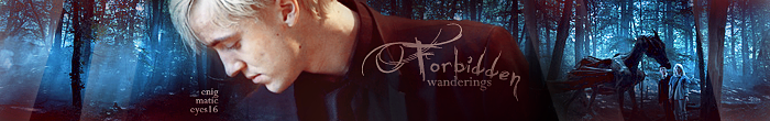 FW Banner