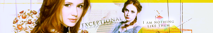 exceptional banner