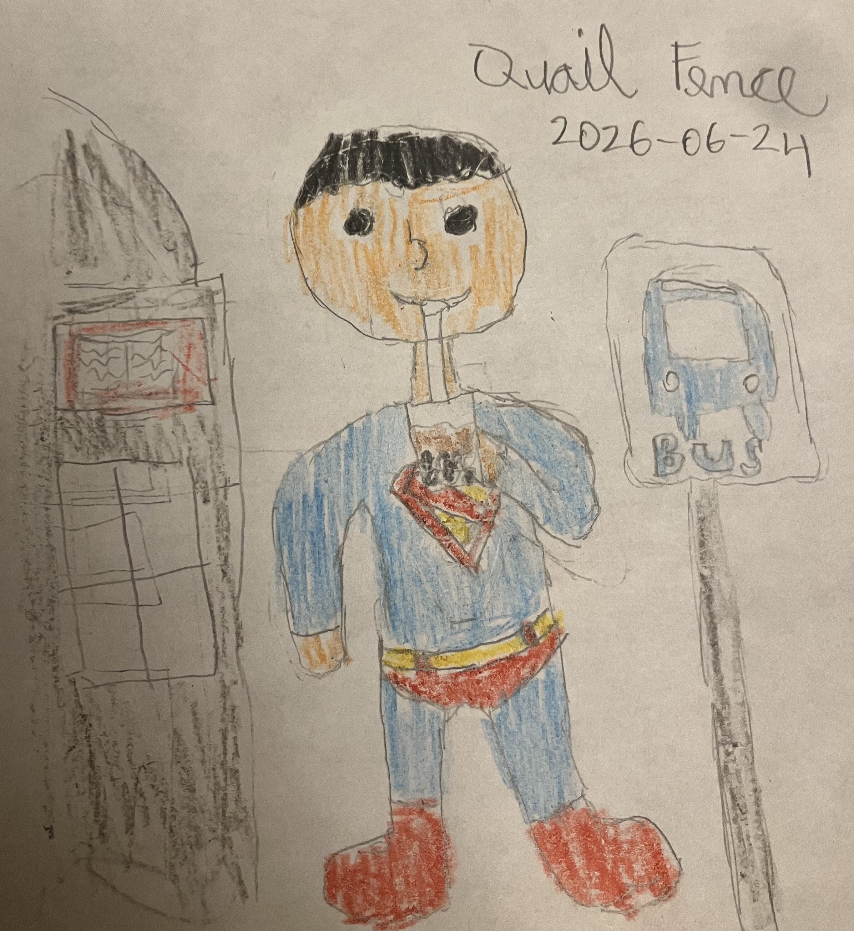 Colored pencil drawing of Superman. He’s standing next to a bus stop sign and is drinking bubble tea. There is a library in the background. The piece is signed QuailFence 2026-06-24.