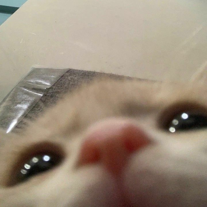 image description (optional)