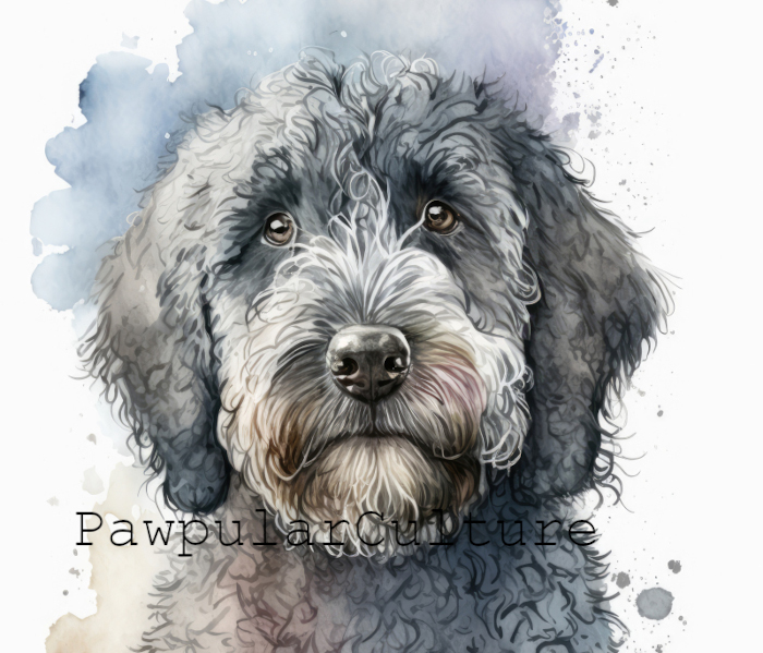 Dog05.jpg