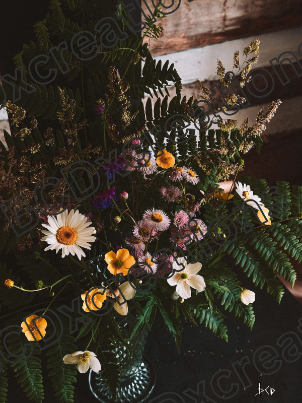 Ontario-Wildflowers.jpg