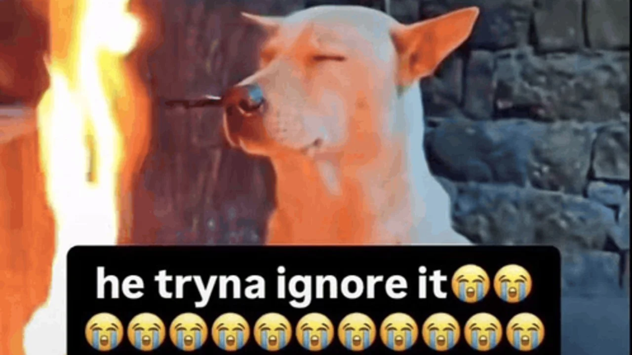he tryna ignore it he tryna ignore it original