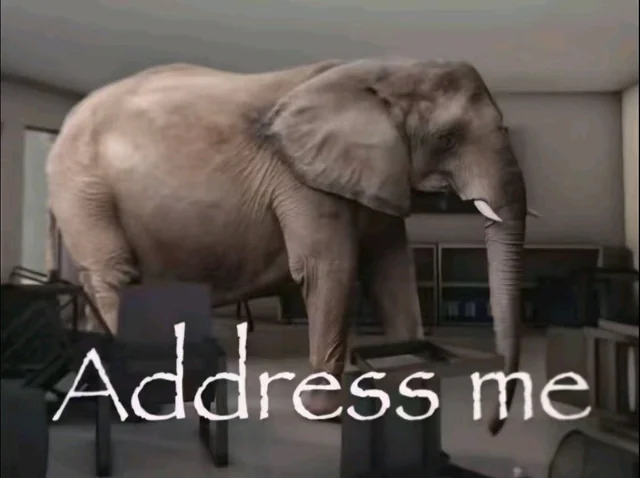 the address me elephant in the room v0 817mjzxaf8of1